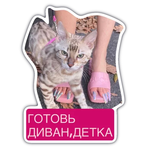 Набор стикеров
