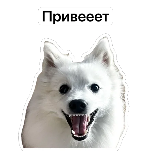 Набор стикеров