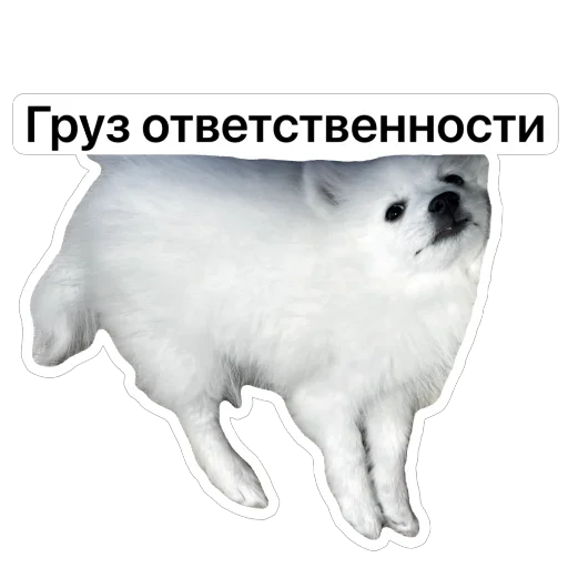 Набор стикеров