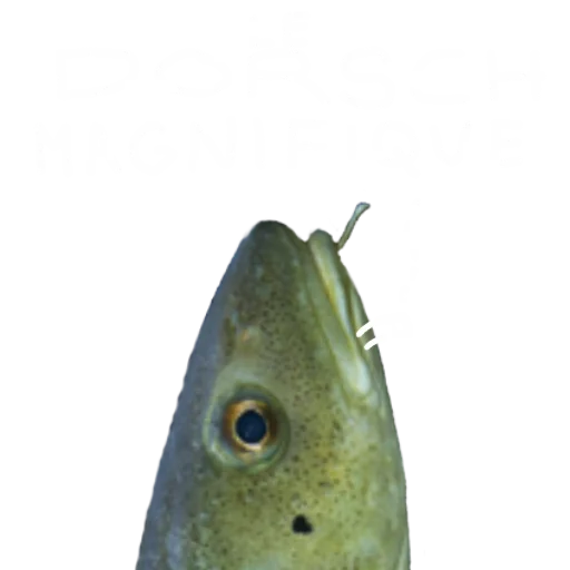 Стикер Le Dorsch magnifique