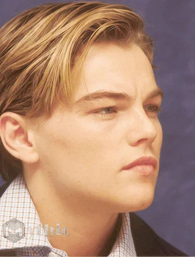 Стикер Leonardo DiCaprio