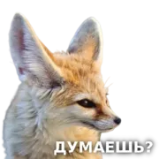 Стикер ЛисичкоПак