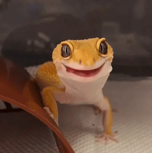 Стикер Lizard Boy