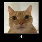 Стикер Локальные и не очень мемы