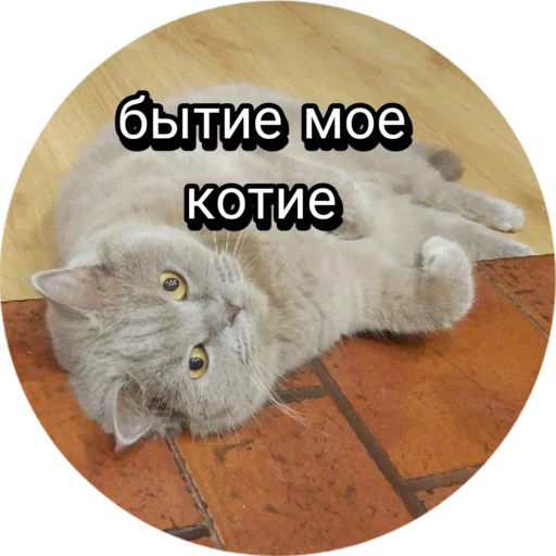 Стикер Лола