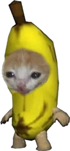 Стикер Lolipupppp