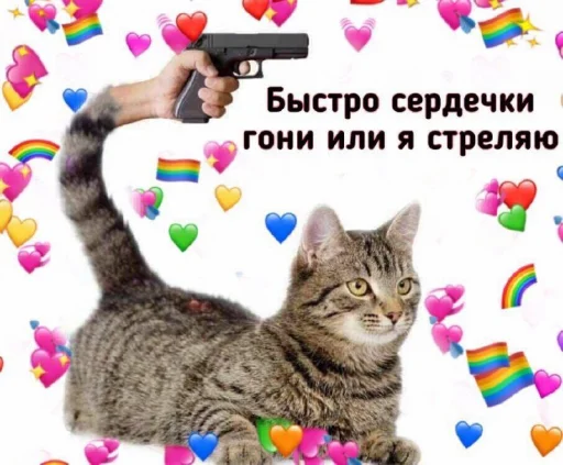 Стикер ProvinsiaAlkashki