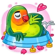 Набор стикеров