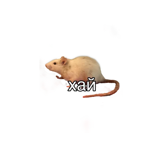Стикер Любофь
