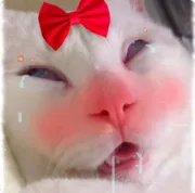 Стикер Lovely Memes