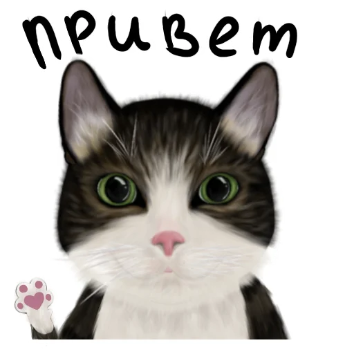 Набор стикеров