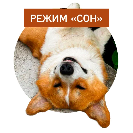 Стикер Lucky FSK