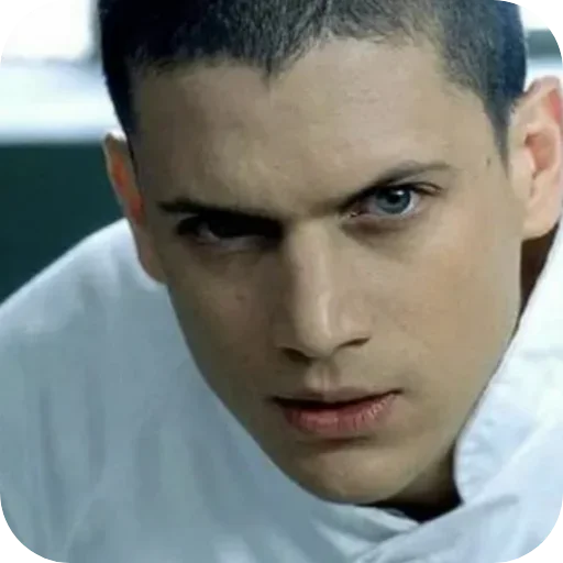 Стикер Michael Scofield