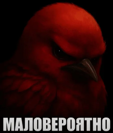 Стикер Birds Memes