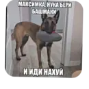 Стикер Мемесы.
