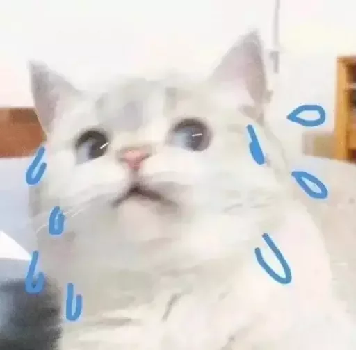 Стикер MeowBots 2
