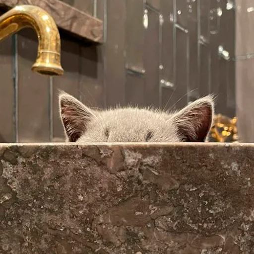 Стикер Miles_pack