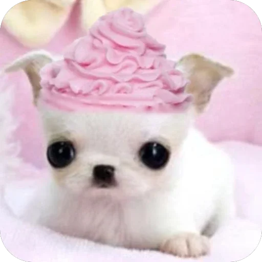 Стикер Cute animals