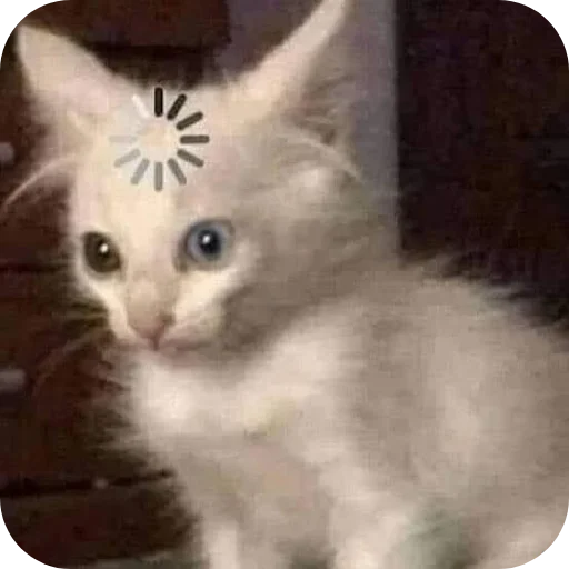 Стикер Милые котики