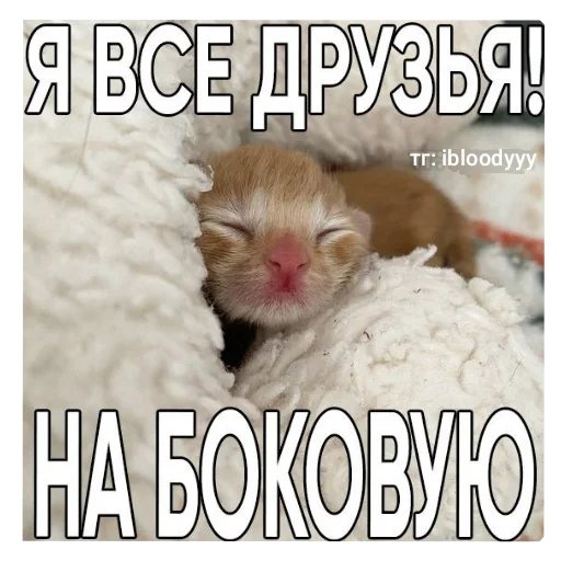 Набор стикеров