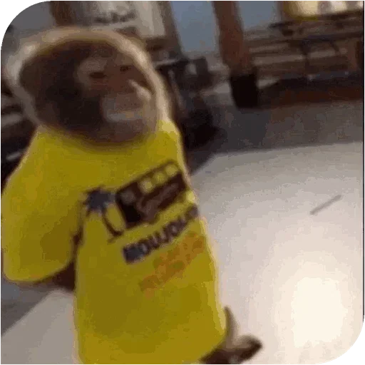 Стикер Monkey