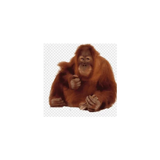 Стикер Monkeys