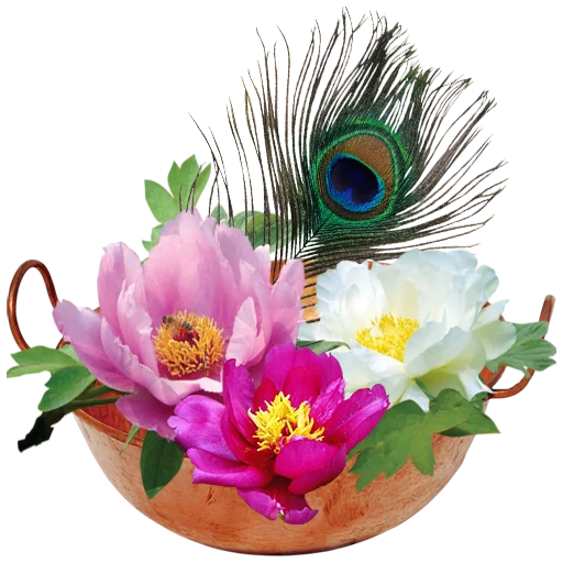 Стикер منوعات2