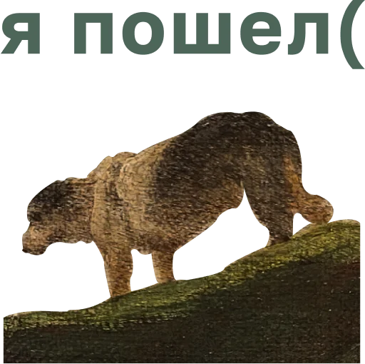 Набор стикеров