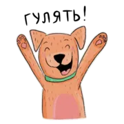 Набор стикеров