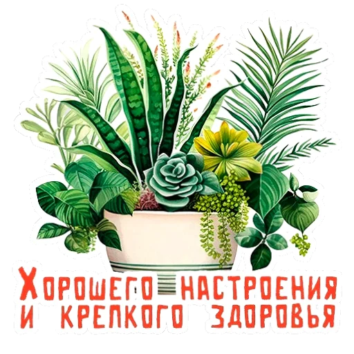 Набор стикеров