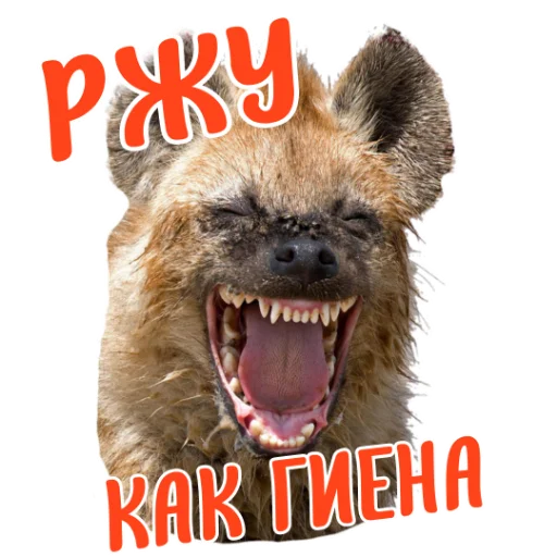Стикер Ne ODNA