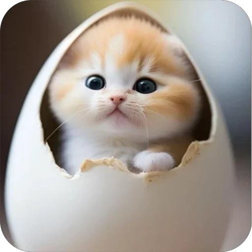 Стикер Cute animals