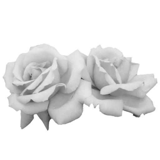 Стикер light paradise