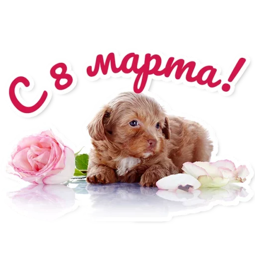 Стикер Милые Питомцы