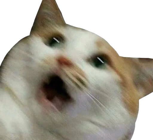 Стикер Regretti Spaghetti