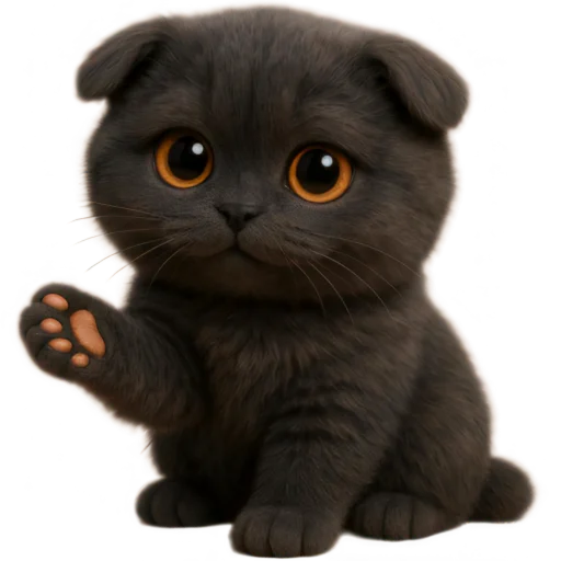 Стикер Котик Нонг Дум