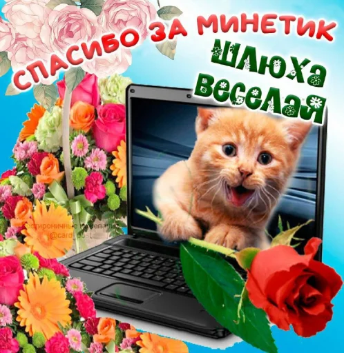 Стикер Открытки