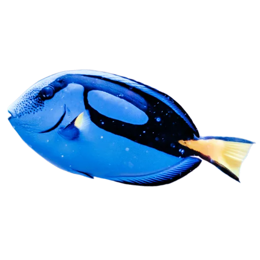 Стикер Жители океана