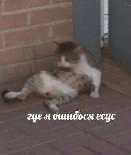Стикер Ошибка