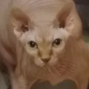 Стикер О мои глаза