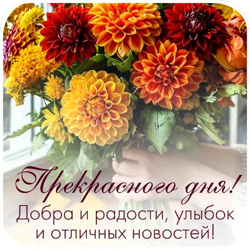 Стикер Открытки