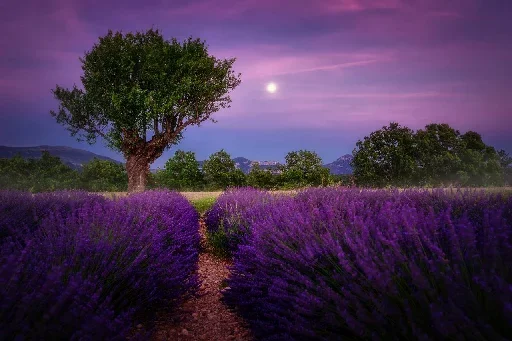 Стикер Our Wonderful Planet
