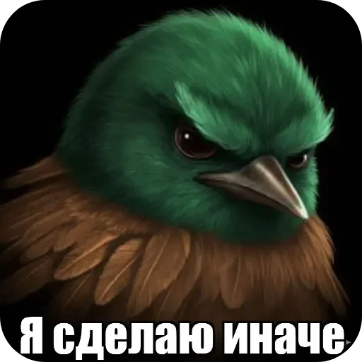 Стикер Birds Memes