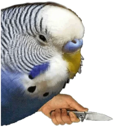 Стикер Папужки