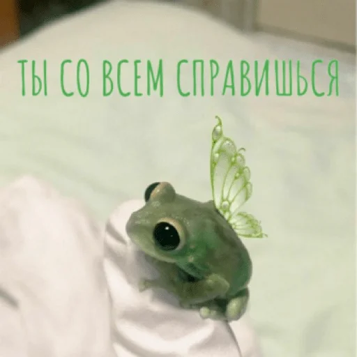 Стикер pacifist