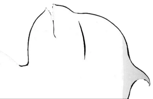 Стикер Puck Terzino