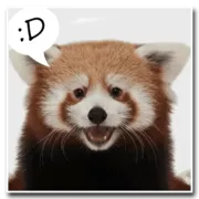 Стикер Pands Attack Us