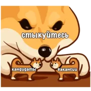 Набор стикеров