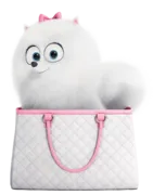 Стикер SecretLivePets