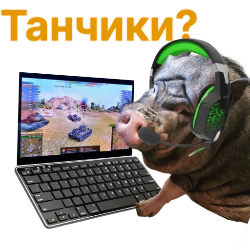 Набор стикеров